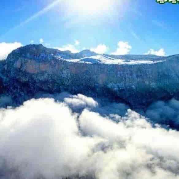 1779620712535.webp